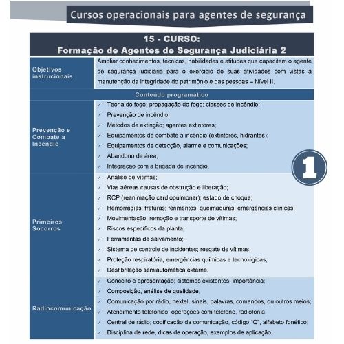 Formação de Agentes de Segurança Judiciária 2 - Imagem 2