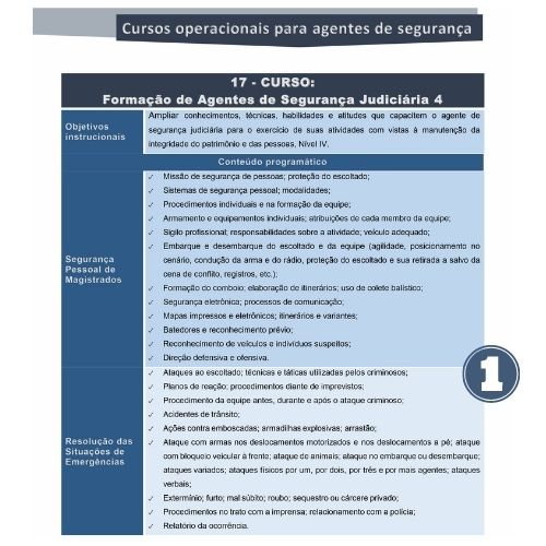 Formação de Agentes de Segurança Judiciária 4 - Imagem 2