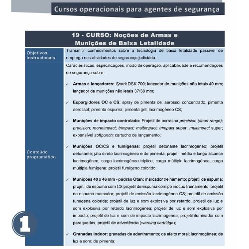 Noções de Armas e Munições de Baixa Letalidade - Imagem 2