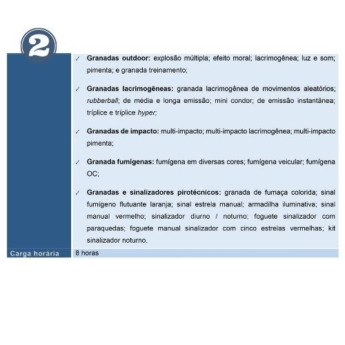 Noções de Armas e Munições de Baixa Letalidade - Imagem 3