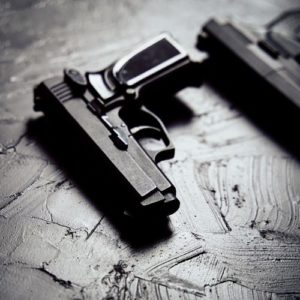 Uso de Arma de Fogo para Defesa e Autoproteção – Nível I