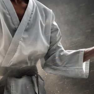 ESPECIALIZAÇÃO EM METODOLOGIA E DIDÁTICA DAS ARTES MARCIAIS, ESPORTES DE COMBATE E LUTAS