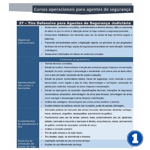 Tiro Defensivo para Segurança Judiciária - Imagem 2