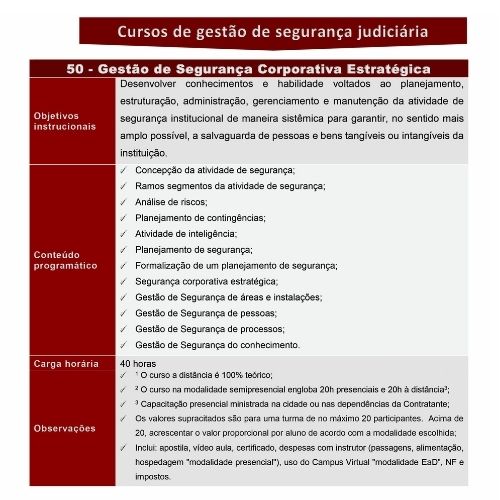 Gestão de Segurança Corporativa e Estratégica - Imagem 2