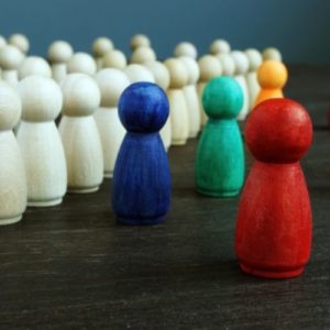 Licenciatura em Sociologia